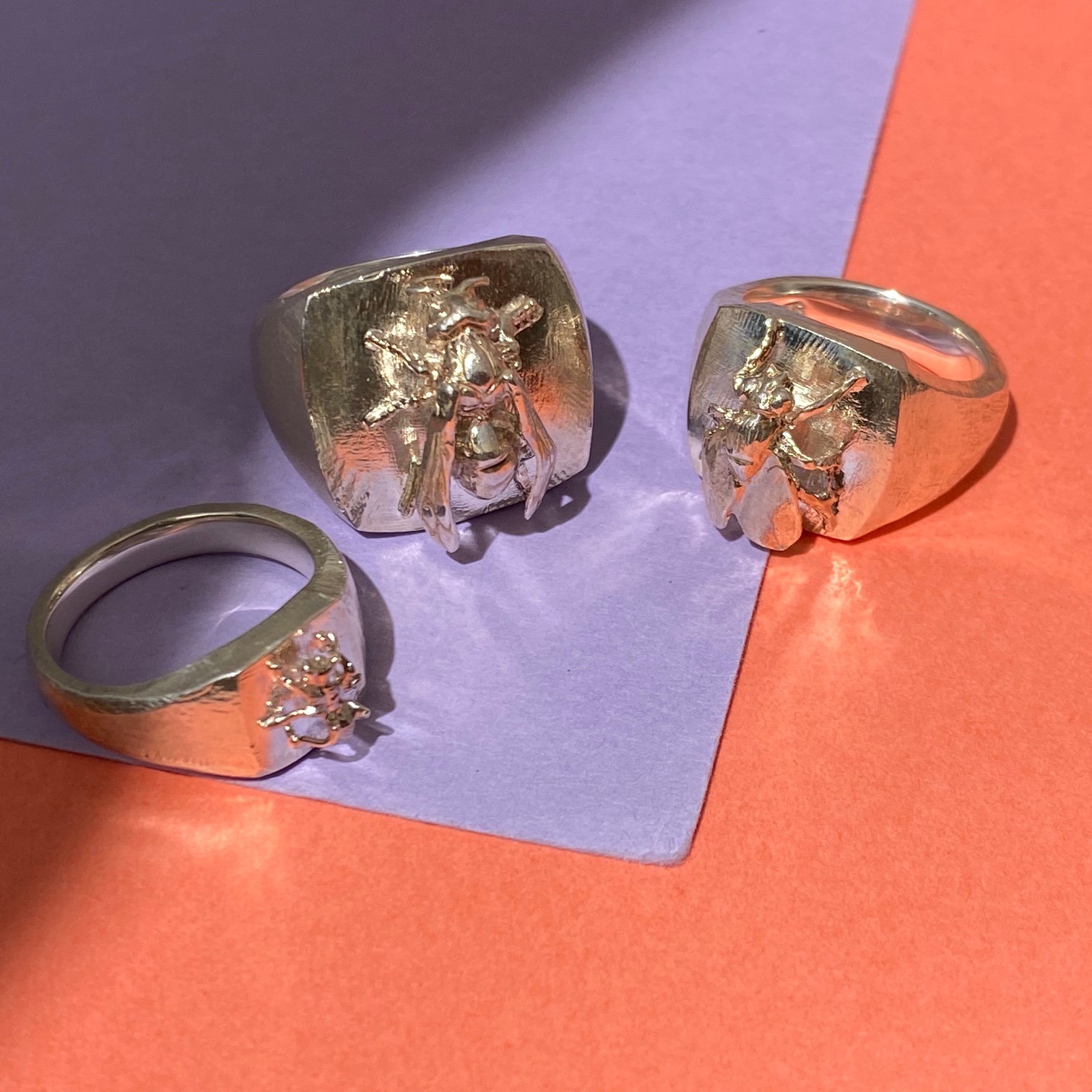 2本セット　e.m. 虫シリーズ　ハエ　リング e.m. 虫シリーズハエリング2本セット